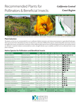 Recommended Plants for Pollinators & Beneficial Insects