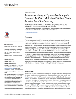 Genome Anatomy of Pyrenochaeta Unguis-Hominis UM 256, a Multidrug Multilocus Phylogenetic Analysis of the Genus Pyrenochaeta