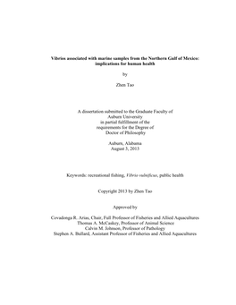 PHD Dissertaiton by Zhen Tao.Pdf (3.618Mb)