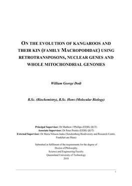 On the Evolution of Kangaroos and Their Kin (Family Macropodidae) Using Retrotransposons, Nuclear Genes and Whole Mitochondrial Genomes