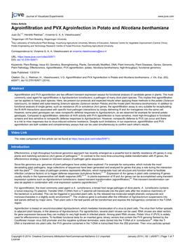 Agroinfiltration and PVX Agroinfection in Potato and Nicotiana Benthamiana