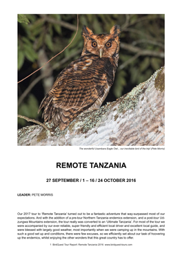 Remote Tanzania