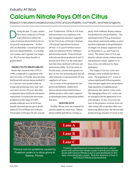 Calcium Nitrate Pays Off on Citrus Reseach Indicates Increased Productivity and Profitability, Root Health, and Tree Longevity