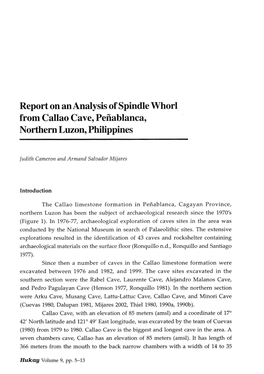 Report on Ananalysis of Spindle Whorl from Callao Cave, Pefiablanca, Northern Luzon Philippines
