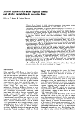 Alcohol Accumulation from Ingested Berries and Alcohol Metabolism in Passerine Birds