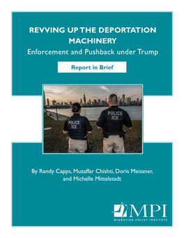 Revving up the Deportation Machinery: Enforcement and Pushback Under Trump, Report in Brief