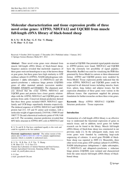 ATP5O, NDUFA12 and UQCRH from Muscle Full-Length Cdna Library of Black-Boned Sheep