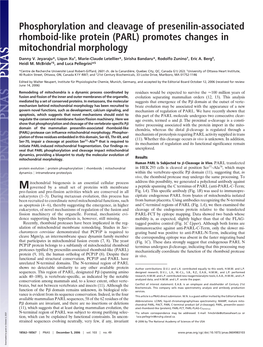 Phosphorylation and Cleavage of Presenilin-Associated Rhomboid-Like Protein (PARL) Promotes Changes in Mitochondrial Morphology