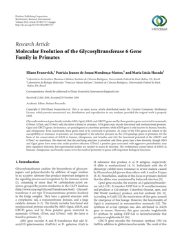 Molecular Evolution of the Glycosyltransferase 6 Gene Family in Primates