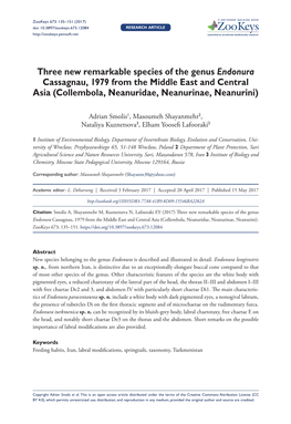 Three New Remarkable Species of the Genus Endonura Cassagnau, 1979 from the Middle East and Central Asia (Collembola, Neanuridae, Neanurinae, Neanurini)