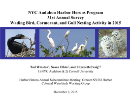 Arthur Kill Wader Colonies