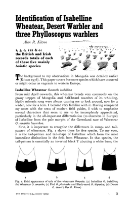 Identification of Isabelline Wheatear, Desert Warbler and Three Phylloscopus Warblers Alan R
