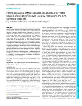 Prdm8 Regulates Pmn Progenitor Specification for Motor Neuron And