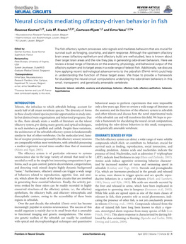 Neural Circuits Mediating Olfactory-Driven Behavior in Fish