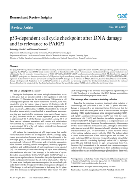 P53-Dependent Cell Cycle Checkpoint After DNA Damage and Its