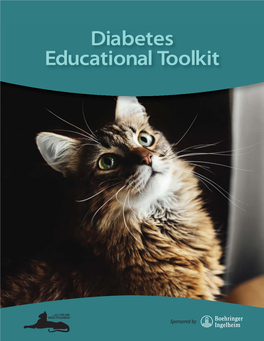 Diabetes Educational Toolkit