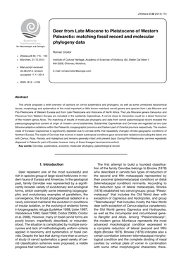 Deer from Late Miocene to Pleistocene of Western Palearctic: Matching Fossil Record and Molecular Phylogeny Data