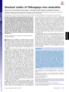 Structural Studies of Chikungunya Virus Maturation