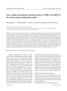 Gene Cloning and Induced Expression Pattern of IRF4 and IRF10 in the Asian Swamp Eel (Monopterus Albus)