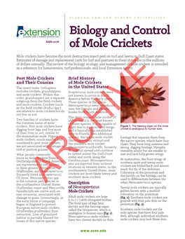 Biology and Control of Mole Crickets 3 the Area After Flushing Can Minimize Sun Scalding of the Turf