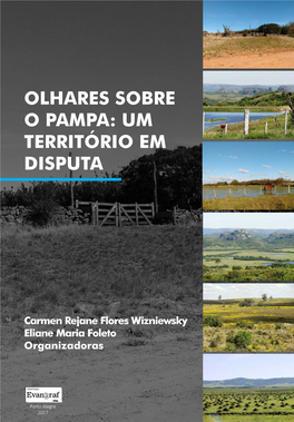 Olhares Sobre O Pampa: Um Território Em Disputa