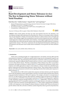 Root Development and Stress Tolerance in Rice: the Key to Improving Stress Tolerance Without Yield Penalties