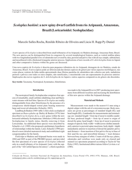 Scoloplax Baskini: a New Spiny Dwarf Catfish from Rio Aripuanã, Amazonas, Brazil (Loricarioidei: Scoloplacidae)