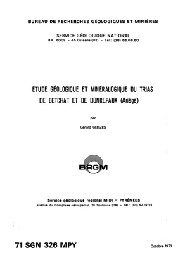 Étude Géologique Et Minéralogique Du Trias