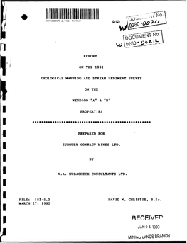 Rpt on the 1992 Geol Mapping and Stream Sediment Sur on the Wendigo a & B Prop