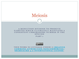 5B. Meiosis, Part 1