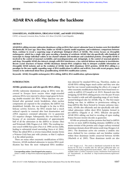 ADAR RNA Editing Below the Backbone