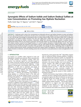 Synergistic Effects of Sodium Iodide and Sodium Dodecyl Sulfate at Low