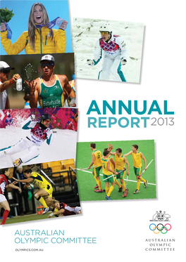 Annual Report2013