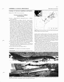 AMPHIBIA: CAUDATA: PROTEIDAE Catalogue of American Amphibians and Reptiles