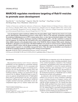 MARCKS Regulates Membrane Targeting of Rab10 Vesicles to Promote Axon Development