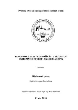 Hloubková Analýza Prožívání U Příznivců Extrémních Sportů - Skateboarding