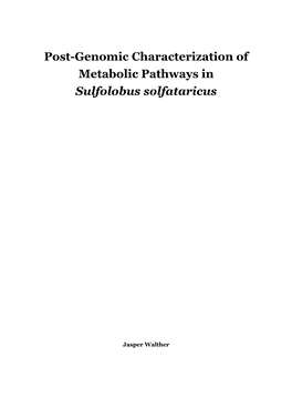 Post-Genomic Characterization of Metabolic Pathways in Sulfolobus Solfataricus