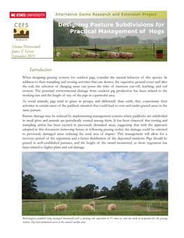 Esigning Pasture Subdivisions for Practical Management of Hogs