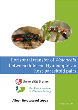 Horizontal Transfer of Wolbachia Between Different Hymenopteran