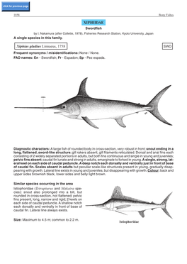 XIPHIIDAE Xiphias Gladius Linnaeus, 1758