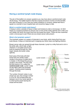 Having a Sentinel Lymph Node Biopsy