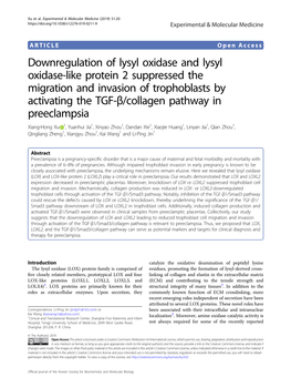 Downregulation of Lysyl Oxidase and Lysyl Oxidase-Like Protein 2