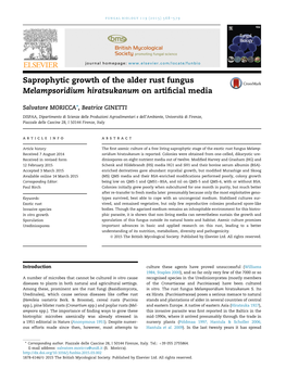 Saprophytic Growth of the Alder Rust Fungus Melampsoridium Hiratsukanum on Artiﬁcial Media