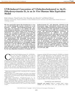 UVB-Induced Conversion of 7-Dehydrocholesterol to 1Α,25-Dihydroxyvitamin D3 in an in Vitro Human Skin Equivalent Model