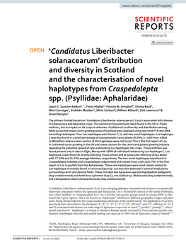 Candidatus Liberibacter Solanacearum’ Distribution and Diversity in Scotland and the Characterisation of Novel Haplotypes from Craspedolepta Spp