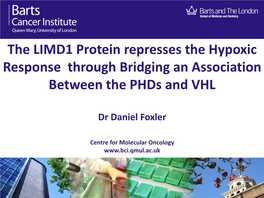 The LIMD1 Protein Represses the Hypoxic Response Through Bridging an Association Between the Phds and VHL
