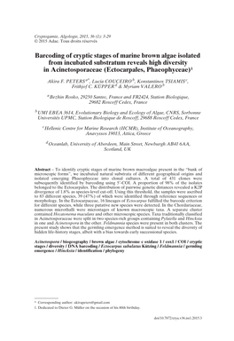 Barcoding of Cryptic Stages of Marine Brown Algae Isolated from Incubated Substratum Reveals High Diversity in Acinetosporaceae (Ectocarpales, Phaeophyceae)1