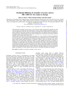 Occidental Diffusion of Cucumber (Cucumis Sativus) 500–1300 CE: Two Routes to Europe