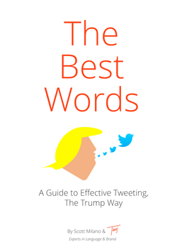 A Guide to Effective Tweeting, the Trump Way