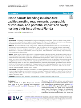 Exotic Parrots Breeding in Urban Tree Cavities
